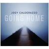 Going Home [CD]